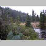 Part of Pole Creek Pano from N side after crossing