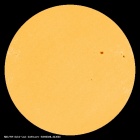 SDO/HMI Continuum Image of the Sun